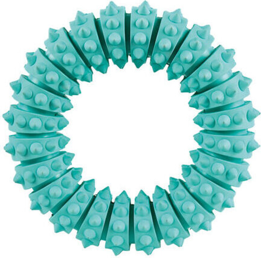 Trixie Denta Fun Gummiring Mint