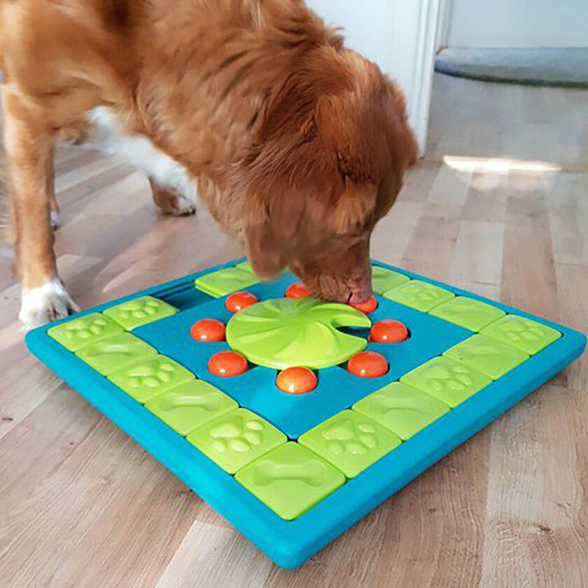 Nina Ottosson Dog Multi Puzzle Grønn