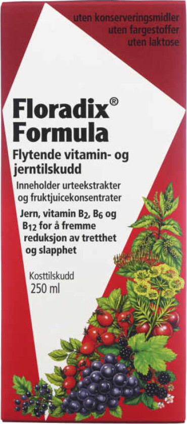 Floradix Formula Jerntilskudd 250ml