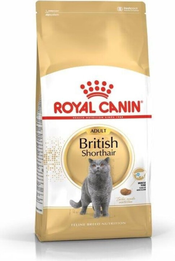 Royal Canin British Shorthair (2 kg)