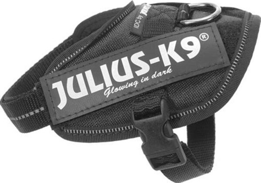 Julius-K9 IDC Sele Svart (Baby 2)
