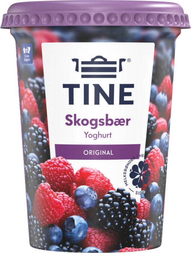 Bilde av Tine Yoghurt Skogsbær 500g