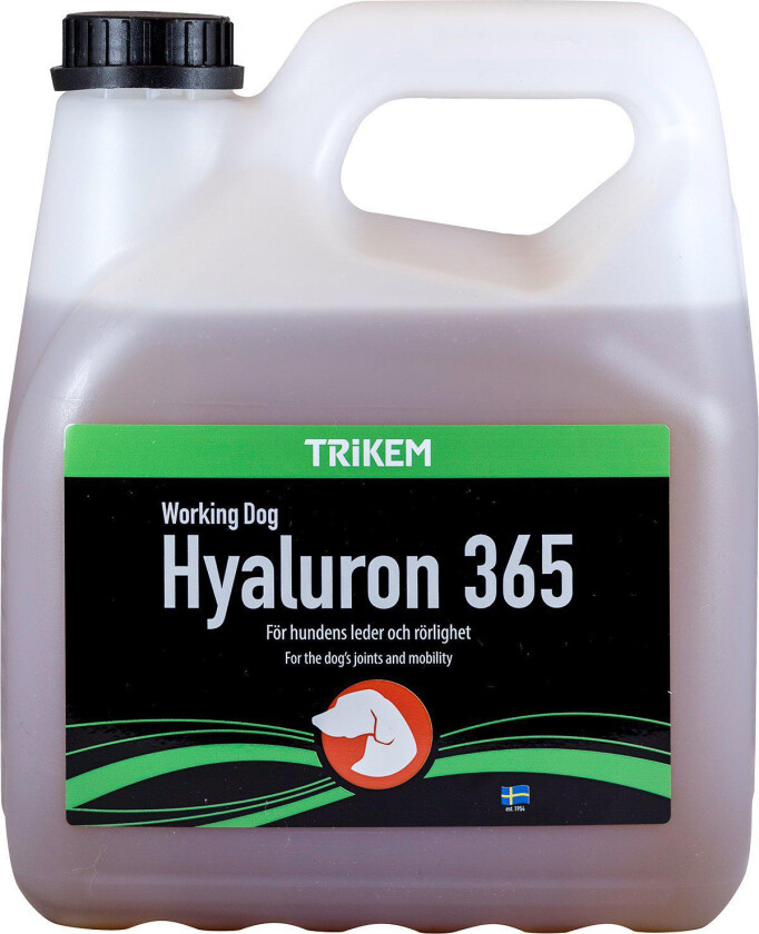 WorkingDog Hyaluron 365 (3 l)