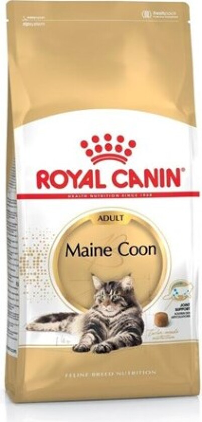 Bilde av Royal Canin Maine Coon (4 kg)