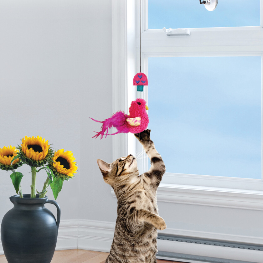 Bilde av KONG Cat Connects Window Teaser