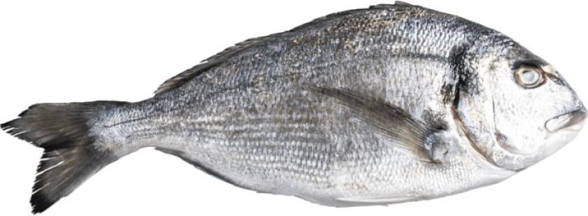 Bilde av Dorade pr Kg