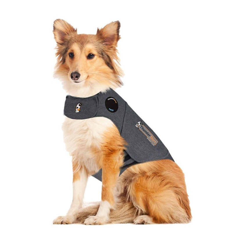 Bilde av Thundershirt til Hund (XS)